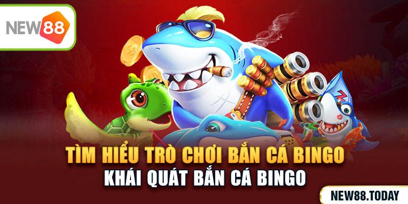 Tìm hiểu trò chơi bắn cá bingo