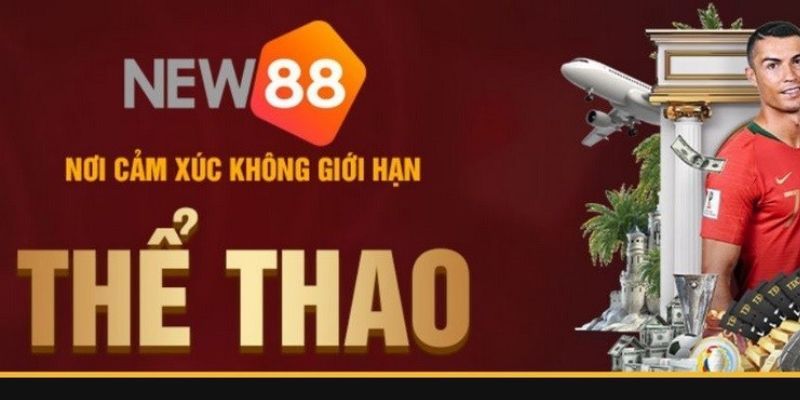 Thể thao New88 mở cược đối với những môn nào?